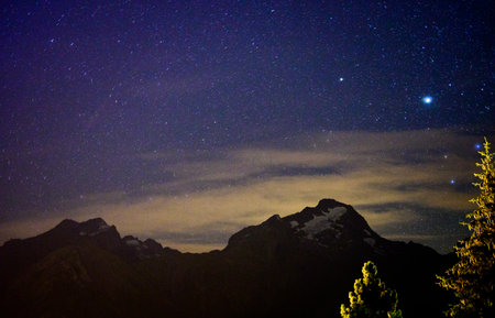 Evergreen fir trees with cones, peaks of French Alps mountains and starry sky at night on backgroundの写真素材