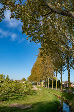 Spring nature landscape in sunny day in Betuwe, Gelderland, Netherlandsの写真素材