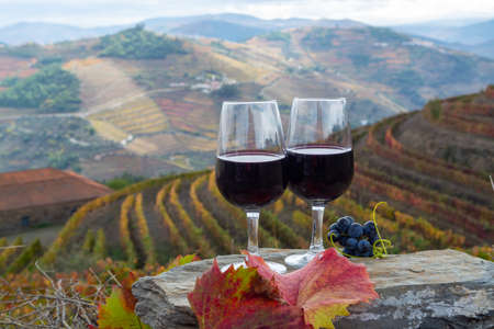 Tasting of Portuguese fortified dessert and dry port wine, produced in Douro Valley with colorful...