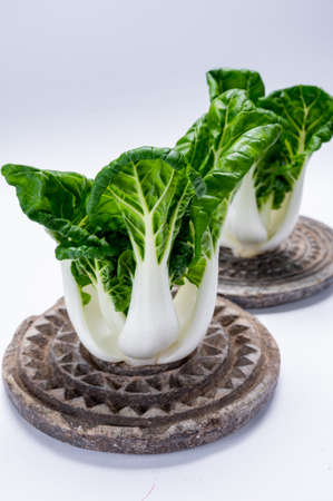Young organic white bok choy or bak choi Chinese cabbage isolated on white backgoundの写真素材