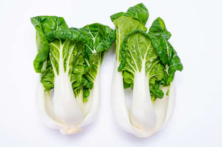 Young organic white bok choy or bak choi Chinese cabbage isolated on white backgoundの写真素材