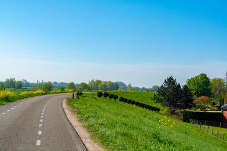 Spring nature landscape with yellow blossom of rapeseed plants in sunny day in Betuwe, Gelderland,...