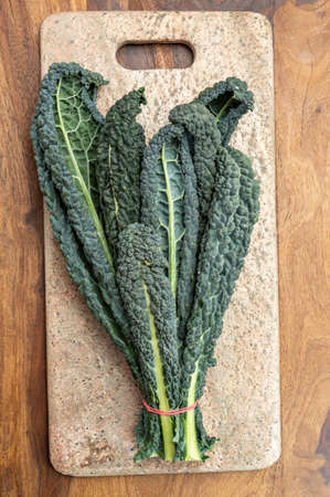 Vegetarian cooking with black flat leaves of cavolo nero tuscan cabbageの写真素材