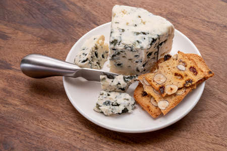 Cheese collection, piece of soft French blue cheese roquefort close up