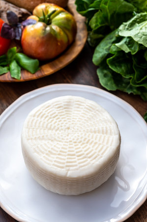 Cheese collection, white Italian sheep cheese pecorino primo sale from Sicily island close up