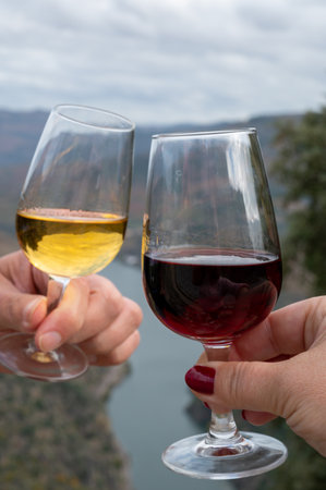 Tasting of Portuguese fortified dessert and dry port wine, produced in Douro Valley with Douro river and colorful terraced vineyards on background in autumn, Portugalの写真素材