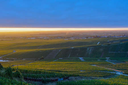 Amazing sunrise on rainy day over green grand cru vineyards near Cramant, region Champagne, France....