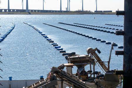 Netherlands, Bruinisse, Mussels farming in Oosterschelde or Grevelingen estuary. Background Grevelingen Dam, part of Delta works and windmillsの写真素材