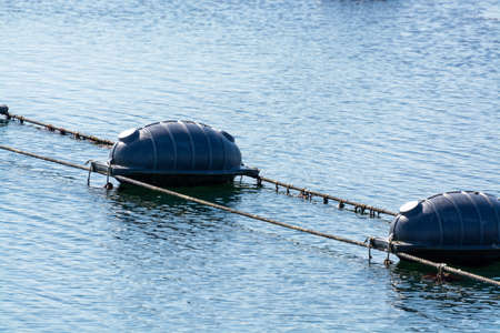 Netherlands, Bruinisse, Mussels farming in Oosterschelde or Grevelingen estuary. Background Grevelingen Dam, part of Delta works and windmillsの写真素材