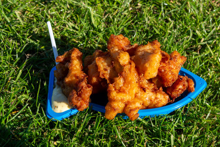 Portion of deep-fried cod fish pieces served with remoulade sauce on green grass