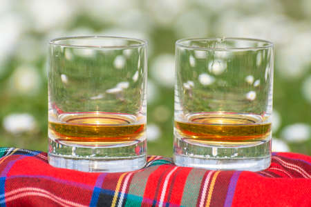 Glasses of Scotch single malt or blended whiskey on red tartan on green grass with many white daisy flowers, spring in Scotlandの写真素材