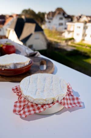 Cheese collection, French cheese from Normandy region, round camembert and heart-shaped neufchatel...