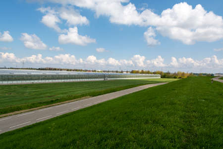 Agriculture in Netherlands, big glass greenhouses used for growing organic vegetables and fruits,...