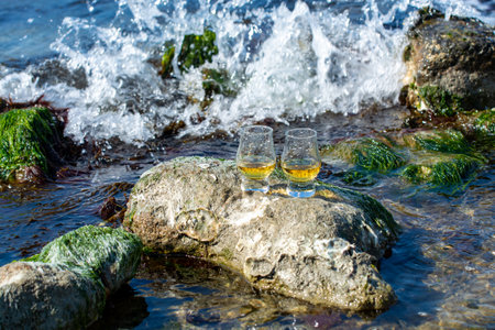 Tasting of single malt or blended Scotch whiskey and blue sea with stones and oysters on background, private whiskey tours in Scotland, UKの写真素材