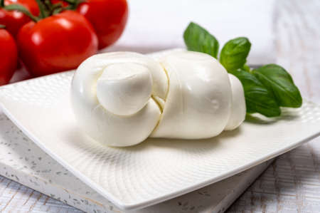 South Italian soft white mozzarella cheese made from buffalo cows milk served with ripe tomatoes and fresh green basil herb close upの写真素材