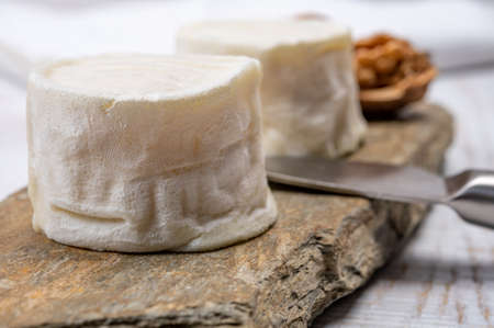 Cheese collection, soft goat French cheese with mold crottin de Chavignol produced in Loire Valley...