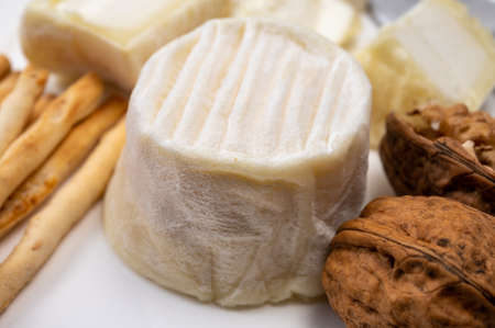 Cheese collection, soft goat French cheese with mold crottin de Chavignol produced in Loire Valley...