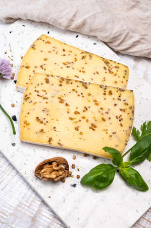 Cheese collection, matured yellow cow cheese with mustard seeds from Belgiumの写真素材