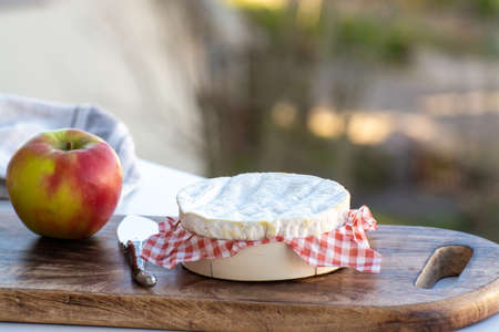 Cheese collection, French cheese from Normandy region, round camembert served on outdoor terrace on sunny dayの写真素材