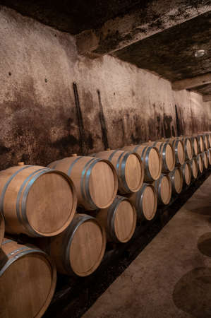 Keeping for years of dry red wine in new oak barrels in caves in Burgundy, made from pinot noir grape, expensive French wine productionの写真素材