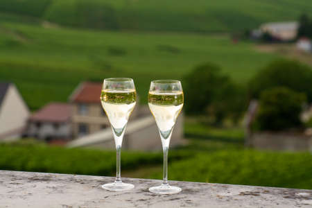 Tasting of brut and demi-sec white champagne sparkling wine from special flute glasses with view on green Champagne vineyards, Franceの写真素材