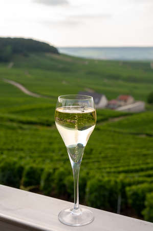 Tasting of brut and demi-sec white champagne sparkling wine from special flute glasses with view on green Champagne vineyards, Franceの写真素材