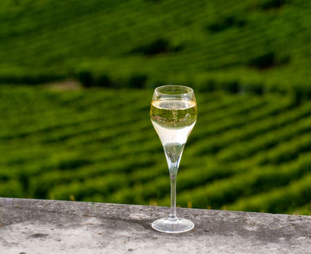 Tasting of brut and demi-sec white champagne sparkling wine from special flute glasses with view on green Champagne vineyards, Franceの写真素材