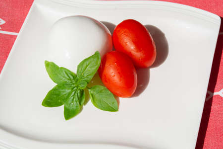Cheese collection, white balls of fresh Italian soft cheese mozzarella di bufala campana served with fresh basil and tomatoesの写真素材