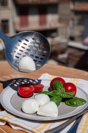 Cheese collection, white balls of Italian soft cheese mozzarella served with fresh red tomatoes and...