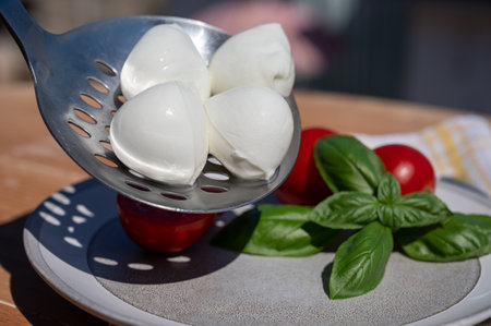 Cheese collection, white balls of Italian soft cheese mozzarella served with fresh red tomatoes and green basilの写真素材