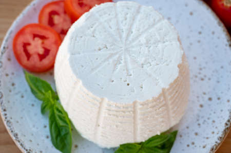 Cheese collection, white Italian soft organic cheese ricotta served with fresh tomatoes and basil