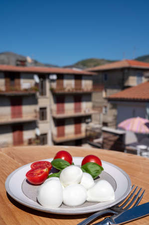 Cheese collection, white balls of Italian soft cheese mozzarella served with fresh red tomatoes and...