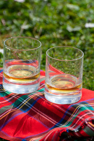 Glasses of Scotch single malt or blended whiskey on red tartan on green grass with many white daisy...