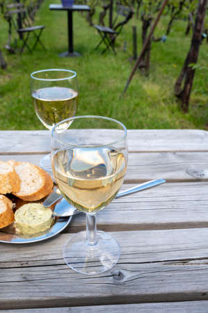 Tasting of Dutch white wine served outdoor on green meadow with vineyard on background, wine...
