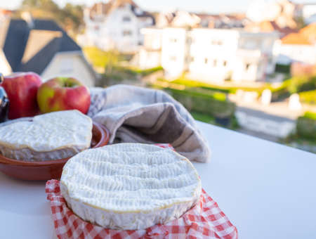Cheese collection, French cheese from Normandy region, round camembert and heart-shaped neufchatel served on outdoor terrace on sunny dayの写真素材