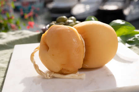 Cheese collection, yellow smoked Italian cheese scamorza made from cow milk in South of Italyの写真素材