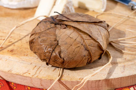 Taste of Provence, ancient small goat cheese Banon a la feuille wrapped in chestnut leaves and tied with raffia, Franceの写真素材