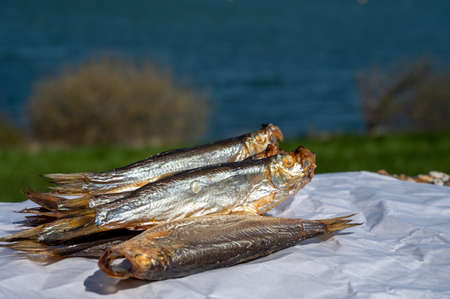 Smoked sprattus or sprats sea fish served outdoor with view on blue sea water ready to eatの写真素材