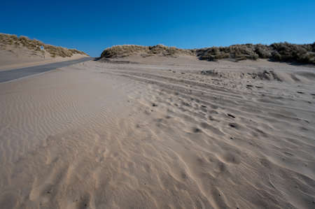 View on wide white sandy North sea beach in Renesse in sunny day, Zeeland, Netherlands