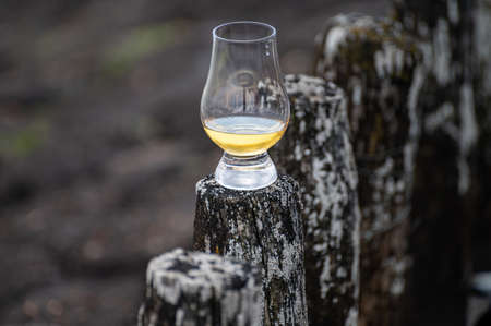 Tasting of dram single malt scotch whiskey on seashore in Scotland, old wooden poles with whiskey glassの写真素材