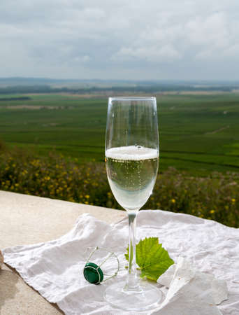 Glass of white brut blanc de blancs champagne wine and examples of vineyard soils, white chalk stone, view on grand cru vineyards of Cote des Blancs near Avize, Champagne, Franceの写真素材