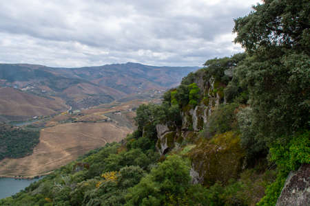 Panoramic view on Douro river valley and colorful hilly stair step terraced vineyards in autumn, wine and port making industry in Portugalの写真素材