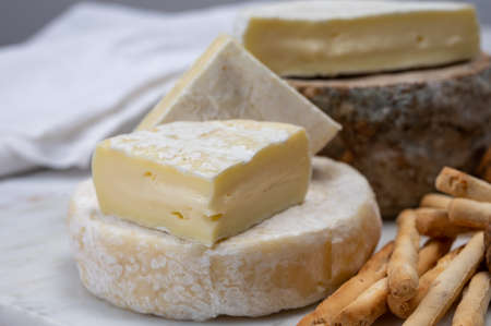 Cheese collection, fresh white soft cow cheese with mold from Swiss and tommette de savoie from...