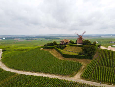 View on Moulin de Verzenay and green pinot noir grand cru vineyards of famous champagne houses in Montagne de Reims near Verzenay, Champagne, wine making in Franceの写真素材