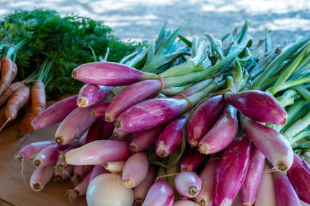 Bunches of young violet simiane organic onions on farmers market in Provence, Franceの写真素材