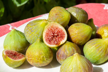 New harvest of fresh ripe sweet fig fruits on white plateの写真素材