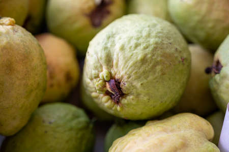 Organic fruits background, harvest of ripe pink sweet guavas on Cyprusの写真素材