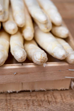 New harvest of ripe high quality white asparagus vegetables ready to cookの写真素材