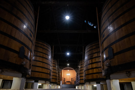 Old porto lodge with rows of oak wooden casks for slow aging of fortified ruby or tawny porto wine...