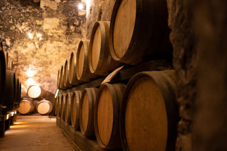 Medieval underground wine cellars with old red wine barrels for aging of vino nobile di Montepulciano in old town on hill Montepulciano in Tuscany, Italyの写真素材